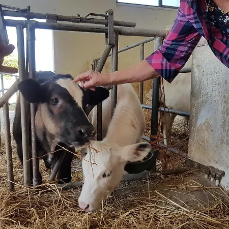 Farm stay La Fattoria